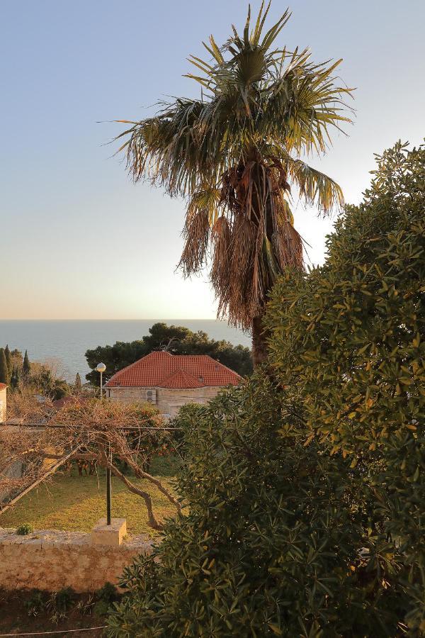 Studio Apartments Kalma Dubrovnik Kültér fotó